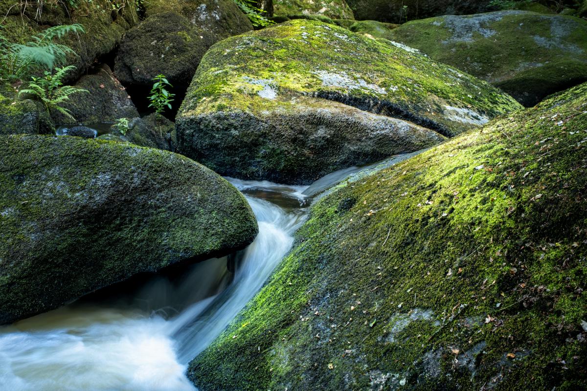 Eau coulant entre les rochers de la forêt d'Huelgoät