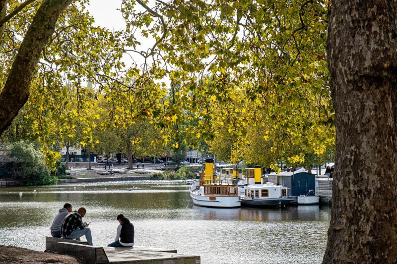 Bord de l'Erdre